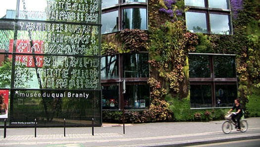 Biophilic Design
